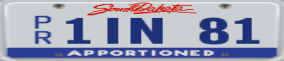 Truck License Plate